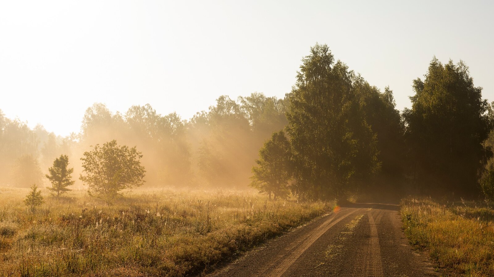 Sunlit rural dirt road crossing open land bordered by trees.